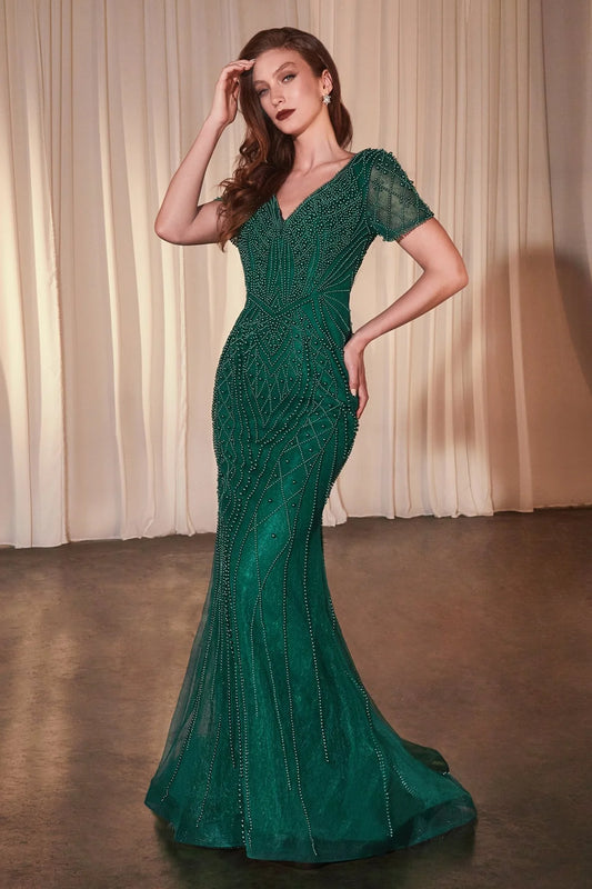 SHORT SLEEVE BEADED FIT & FLARE GOWN